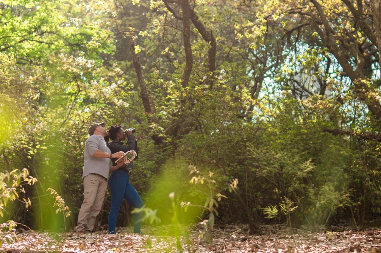 Africamps Magoebaskloof Villa Kültér fotó
