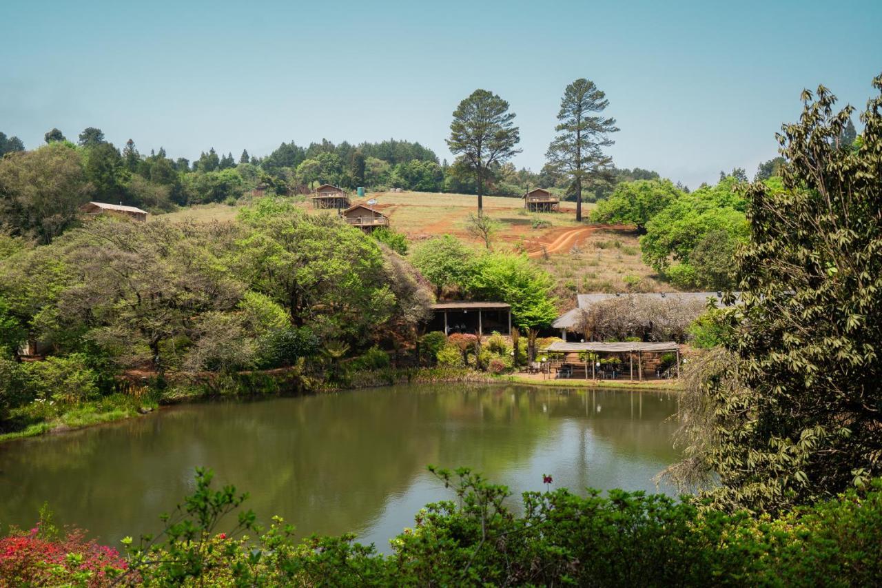 Africamps Magoebaskloof Villa Kültér fotó